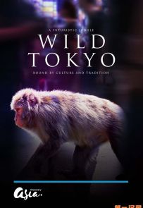 《狂野东京 Wild Tokyo》2020.英国.动物[MKV][1080p][英语字幕][全1集]